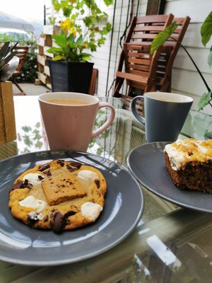 Snores cookie and carrot cake at The Salty Caramel Kitchen in Lake Country