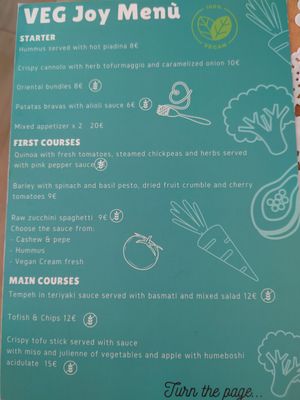 Menu page 1 at Veg Joy in Rome