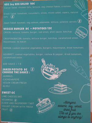 Menu page 2 at Veg Joy in Rome