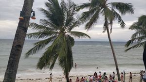 View from upstairs at Oasis Resort Restaurant in Panglao