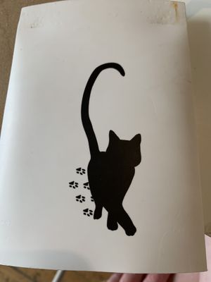 Balthasar at Kattencafé Balthazar in Nijmegen