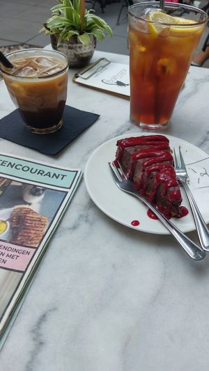  at Kattencafé Balthazar in Nijmegen