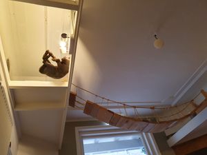 Wolfje initial position at Kattencafé Balthazar in Nijmegen