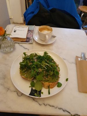 'Avocado en zeekraal' with the bread from Streekbakker Jorrit at Kattencafé Balthazar in Nijmegen