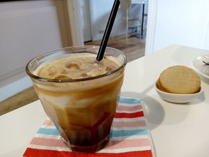  at Kattencafé Balthazar in Nijmegen