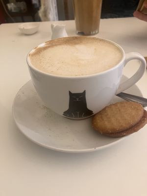 Vegan cappuccino uit poezenkopje   at Kattencafé Balthazar in Nijmegen