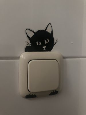 Hello   at Kattencafé Balthazar in Nijmegen