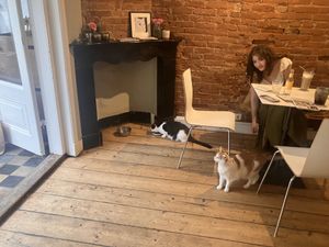 Gezellige sfeer   at Kattencafé Balthazar in Nijmegen