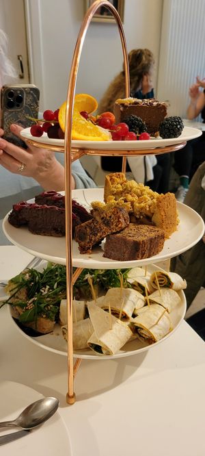  at Kattencafé Balthazar in Nijmegen