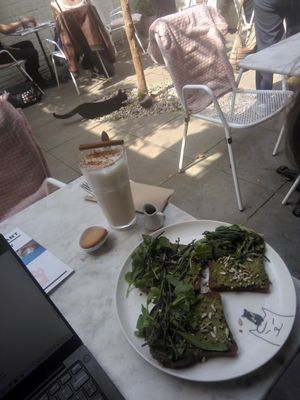 Perfect workplace on the terrace with delicious pumpkin spice latte and avocado toast with salsify at Kattencafé Balthazar in Nijmegen