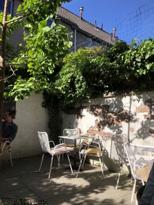garden  at Kattencafé Balthazar in Nijmegen