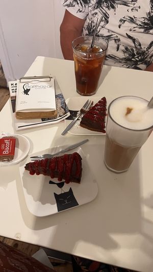 Heerlijk en Vegan🌱🌱🌱  at Kattencafé Balthazar in Nijmegen