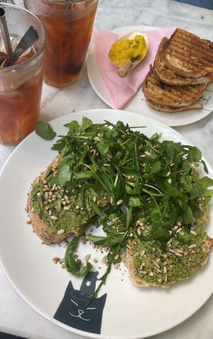   at Kattencafé Balthazar in Nijmegen