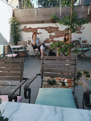 Garden at Kattencafé Balthazar in Nijmegen