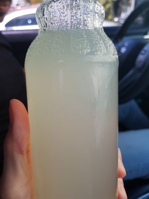 Lemonaide at Tacos La Neta in Panama City