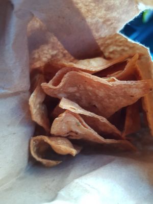 Nacho at Tacos La Neta in Panama City