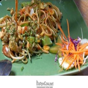 Spagetti: can the portion be smaller?! at Pun Pun Organic Vegetarian Restaurant - Wat Suan Dok in Chiang Mai