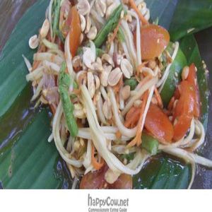  at Pun Pun Organic Vegetarian Restaurant - Wat Suan Dok in Chiang Mai