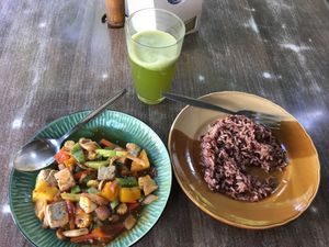 Pineapple stir fry with brown rice at Pun Pun Organic Vegetarian Restaurant - Wat Suan Dok in Chiang Mai
