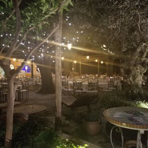 Courtyard seating under the trees at Villa Maria in Ravello