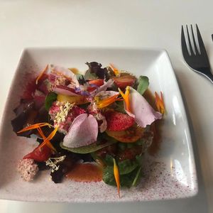 Summer rainbow salad at Eat Your Greens in Bristol