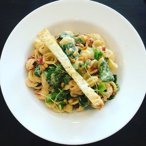 Vegan pasta with cashew cream sauce  at Artisan Eatery in Fort Myers