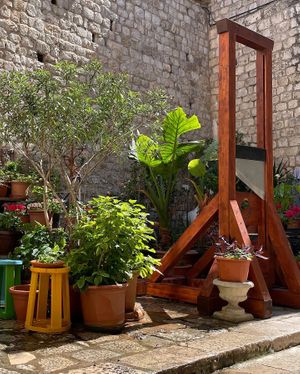   at Cogito Coffee Shop in Dubrovnik