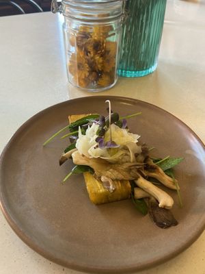 Mushrooms and herbed gratin   at Cafe Miro in Christchurch