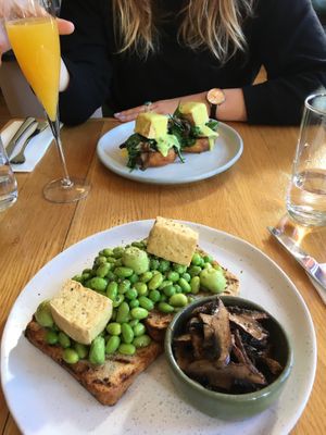 Tofu hollandaise (back) and greens on toast (front) - both super tasty  at Cafe Miro in Christchurch