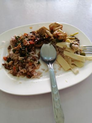 Rice with veggies and mock meat at Yok Vegetarian Food in Chiang Mai