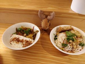 Aubergine curry (left) and bun-bo (right). (Mr Moose approves this food) at Herbosaurus in Rennes
