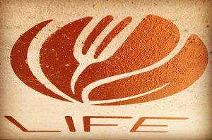 Life Logo at Life Bistrot in Volterra