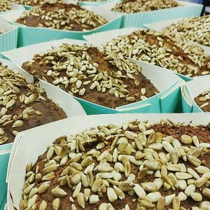 glutenfree vegan bread at Glutenfria Paradiset in Ystad