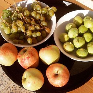 Grapes, figs and apples from the garden. July is the month with these delicacies! at Petra Fig Tree Villa in Wadi Musa