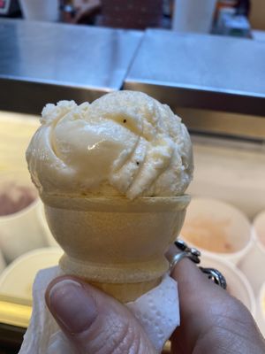 Vegan lemon poppyseed GF at Orange Cycle Creamery in Tarpon Springs