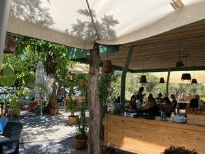 so cosy at Natural Pau in Ibiza