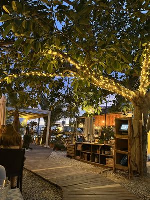   at Natural Pau in Ibiza