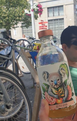 Vegan Kombucha at Zdraví s Chutí in Brno