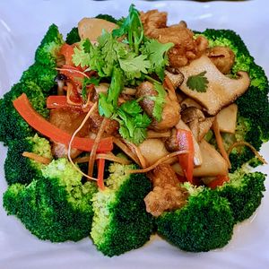Triple Mushroom Broccoli at New Fut Kai Vegetarian 新佛界素食 in Central Singapore