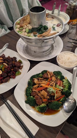 Coconut Hot Pot, Gong Bao lion's mane, 3 mushrooms at New Fut Kai Vegetarian 新佛界素食 in Central Singapore