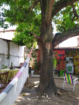  at Papoula in Joao Pessoa