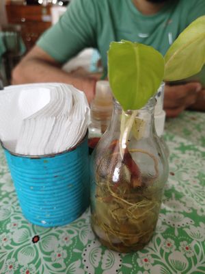  at Papoula in Joao Pessoa