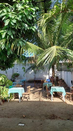 Garden at Papoula in Joao Pessoa