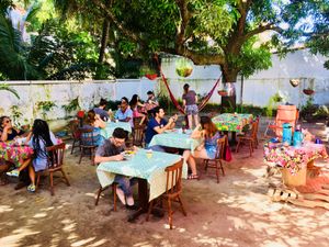 Tables under mango tree. at Papoula in Joao Pessoa