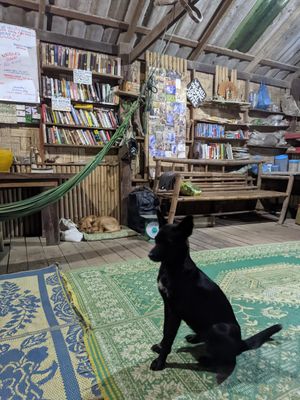  at Tao Guesthouse in Kasi