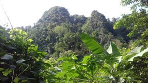 View from the garden at Tao Guesthouse in Kasi