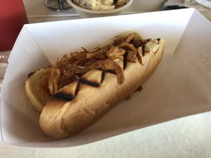 Beach dog at Picnic Beach in Gulf Shores