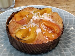 Coconut and apricot cake. Perfect texture. at Ausnahmsweise in Vienna