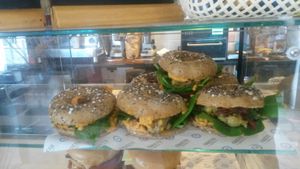Red pepper, hummus, falafel, sun dried tomato and spinach multiseed bagel at Fausto Coffee in Sunderland