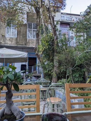 Love the beautiful garden 😻 at Openbox in Porto